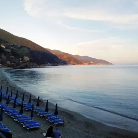 Chez Fernando Front Free Parking Lerici